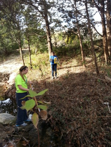 Agency Photo  (24974)