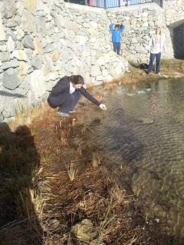 Agency Photo  (24961)