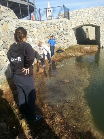 Agency Photo  (24966)