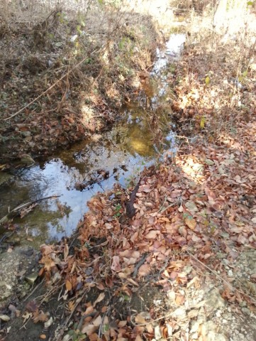 Agency Photo  (24970)