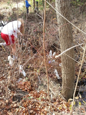 Agency Photo  (24975)