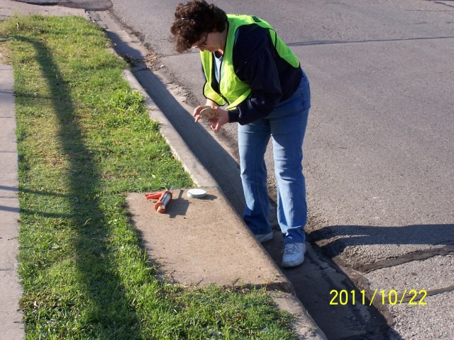 Agency Photo  (24955)