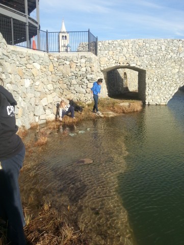 Agency Photo  (24963)