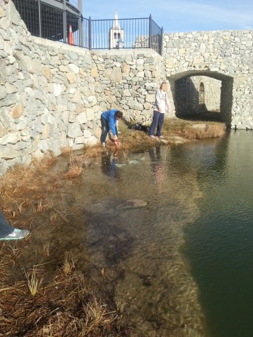 Agency Photo  (24962)