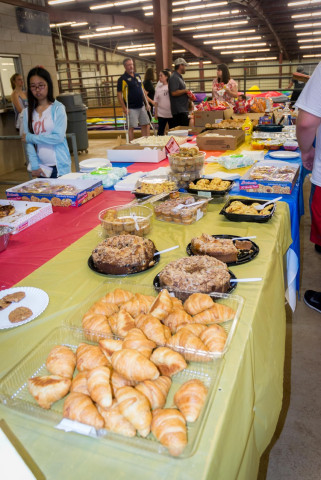 Agency Photo  (125463)