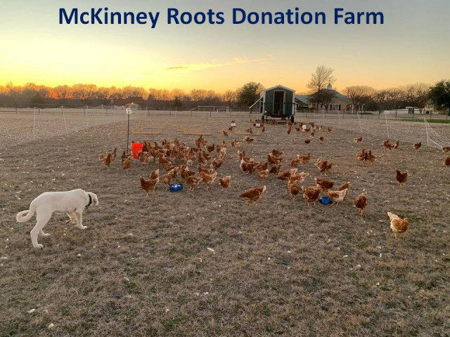 Agency Photo  (166303)