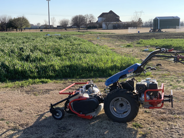 Agency Photo  (162458)