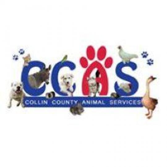 Agency Logo