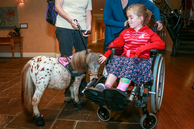 Agency Photo  (170035)