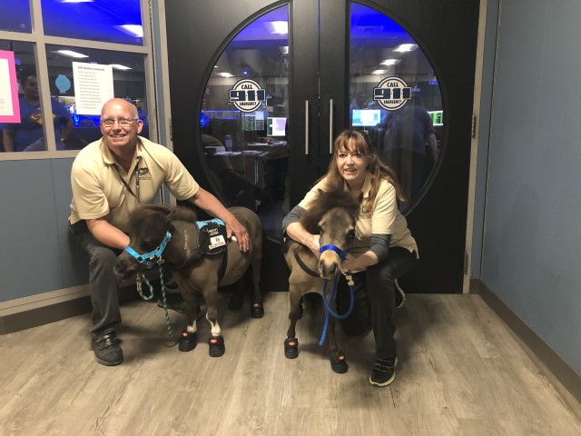 Agency Photo  (198536)