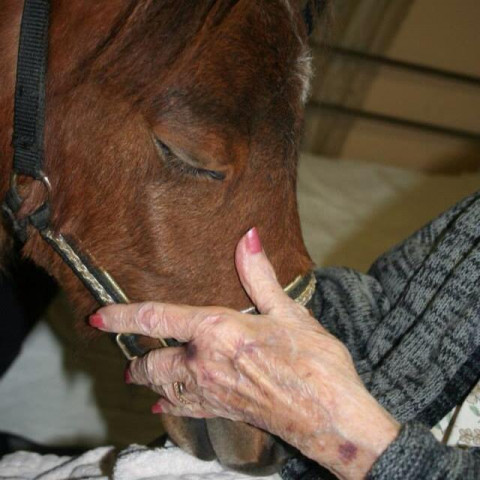 Agency Photo  (170032)