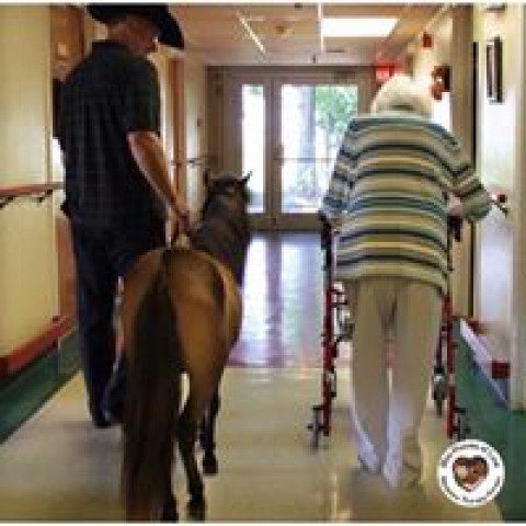 Agency Photo  (170034)