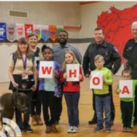 Agency Photo  (198535)