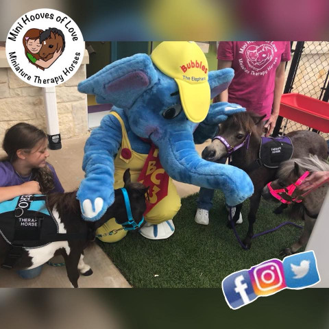 Agency Photo  (170039)