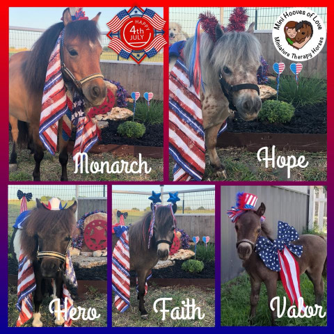 Agency Photo  (133928)