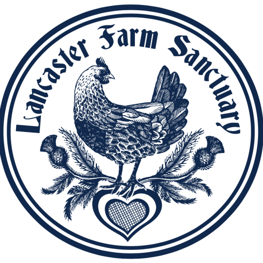 Agency Logo