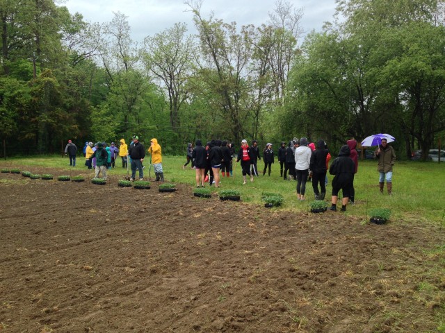 Agency Photo  (65294)