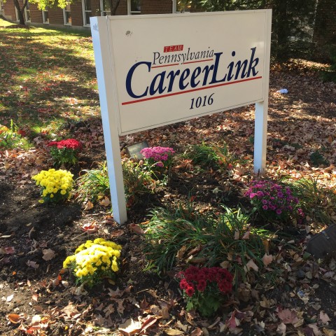 Agency Photo  (80857)