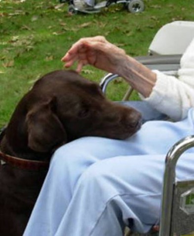 Agency Photo  (20323)