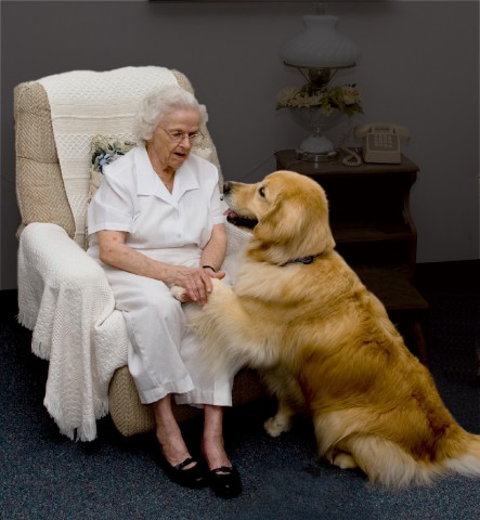 Agency Photo  (20324)