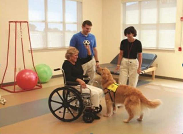 Agency Photo  (20325)