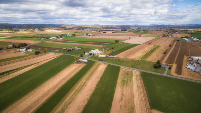 Agency Photo  (129371)