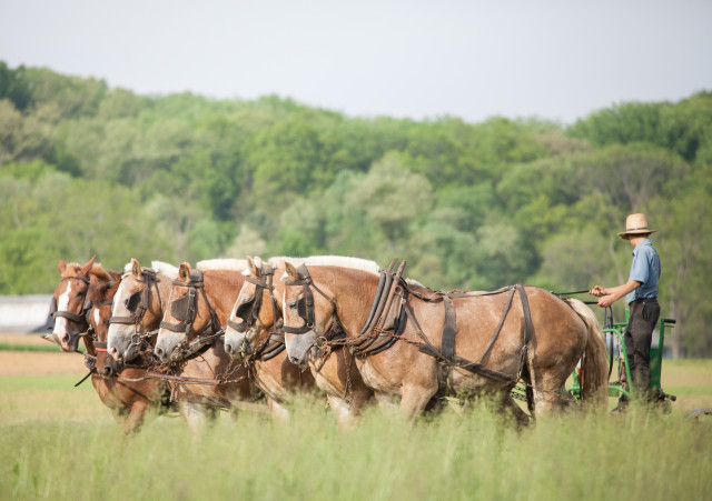 Agency Photo  (129365)