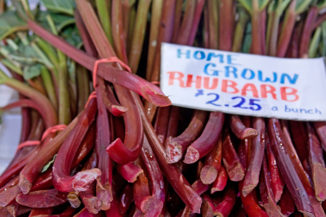 Agency Photo  (129370)