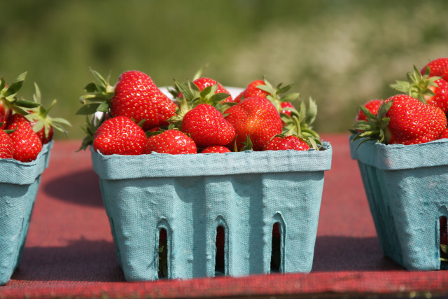 Agency Photo  (129369)