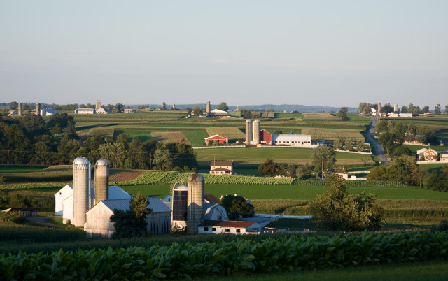 Agency Photo  (129366)