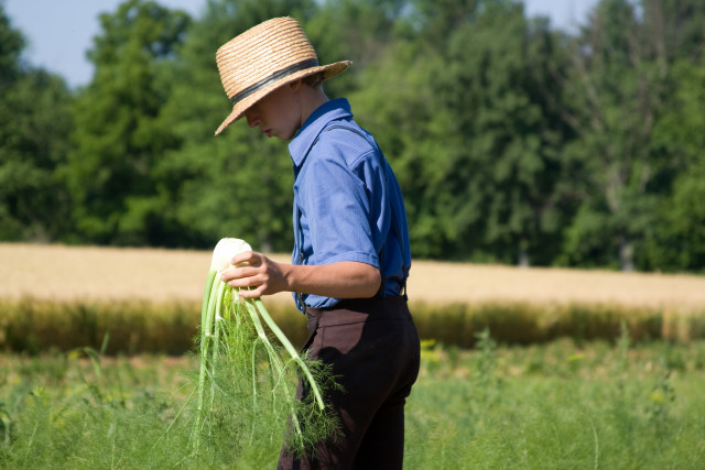 Agency Photo  (129364)