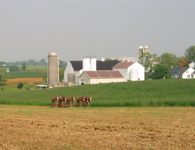 Agency Photo  (129372)