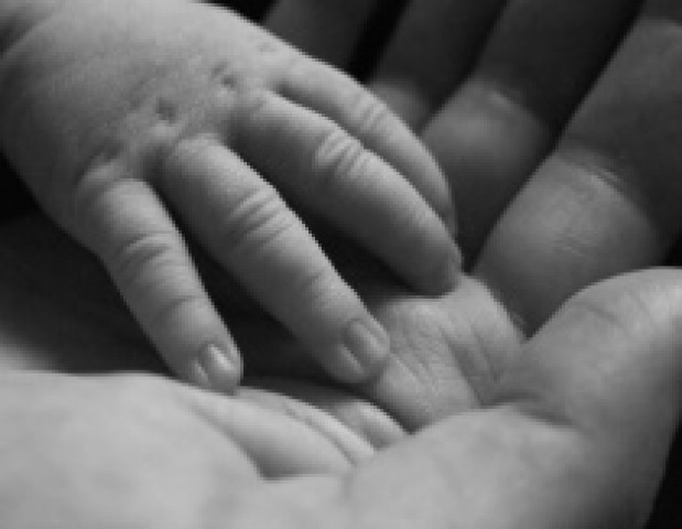 Agency Photo  (19809)