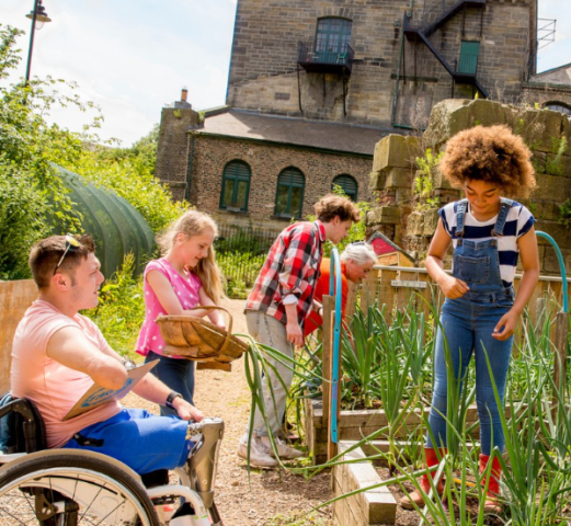 Agency Photo  (250028)