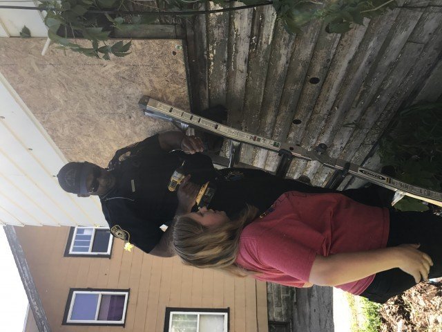 Agency Photo  (244731)