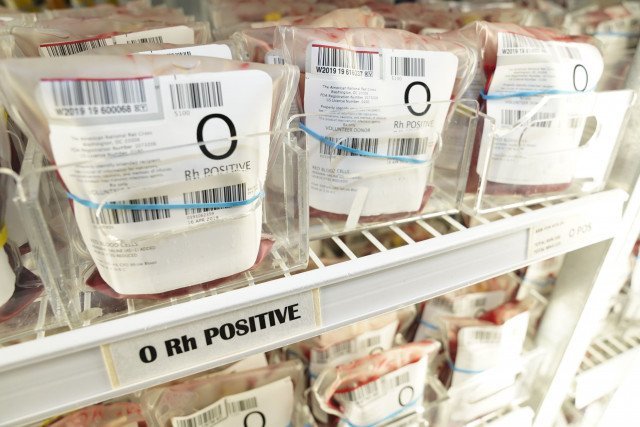 Agency Photo  (244530)