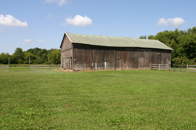 Agency Photo  (137576)