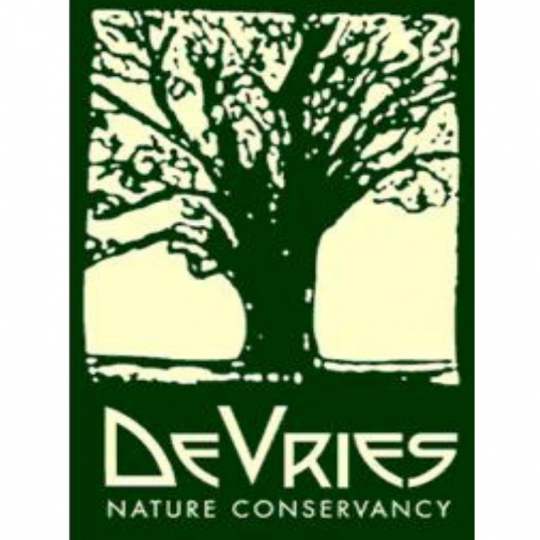 Agency Logo