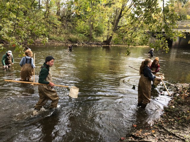 Agency Photo  (245166)