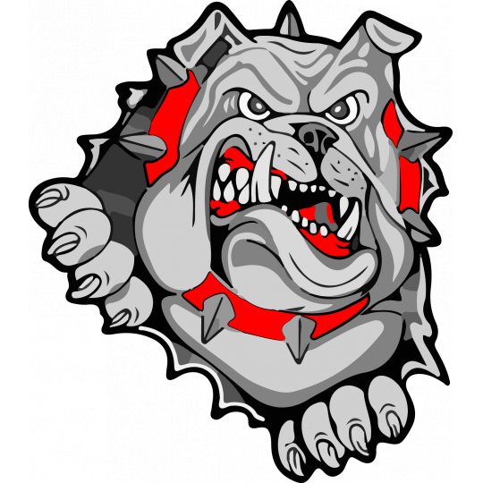 Agency Logo