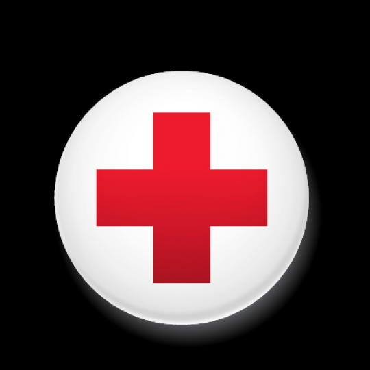 Organization Logo