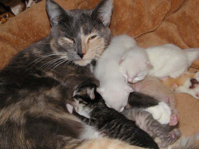 Organization Photo  (69929)