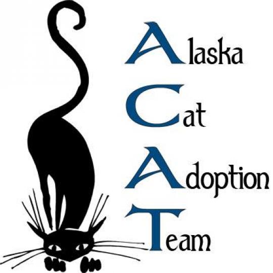 Organization Logo
