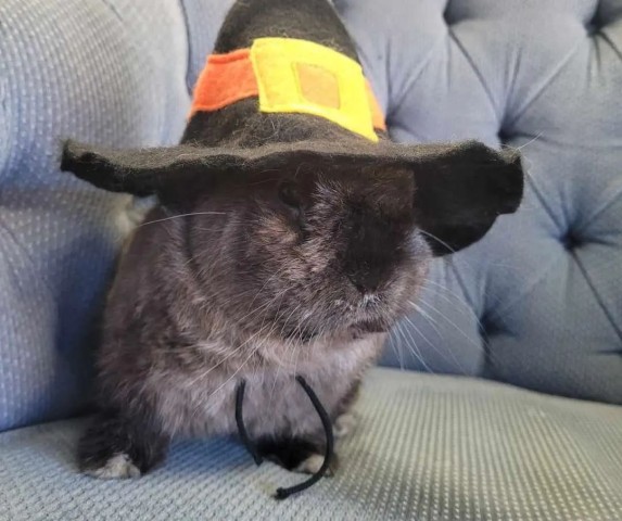 Agency Photo  (209217)