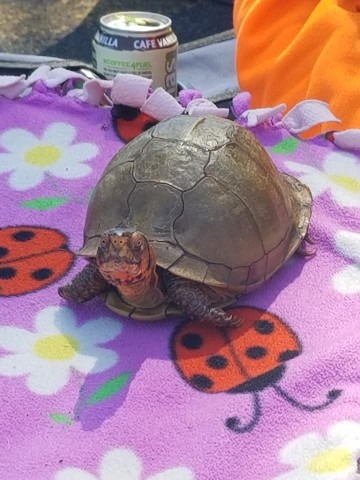 Agency Photo  (209212)