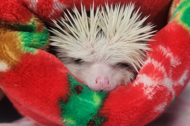 Agency Photo  (209219)