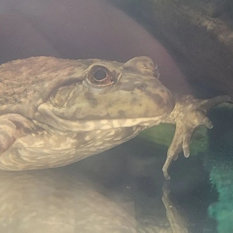 Agency Photo  (209216)