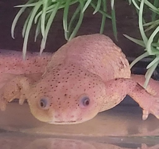 Agency Photo  (209214)