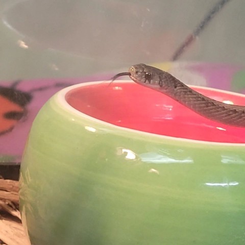 Agency Photo  (209215)