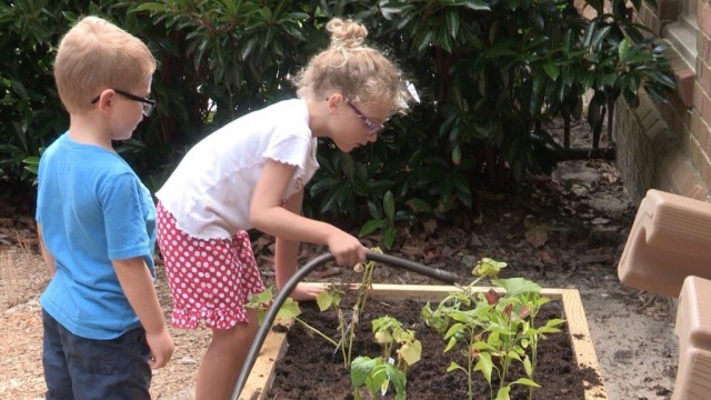 Agency Photo  (88165)